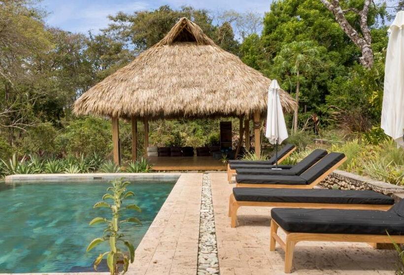 Thea Resort & Retreats   Santa Teresa