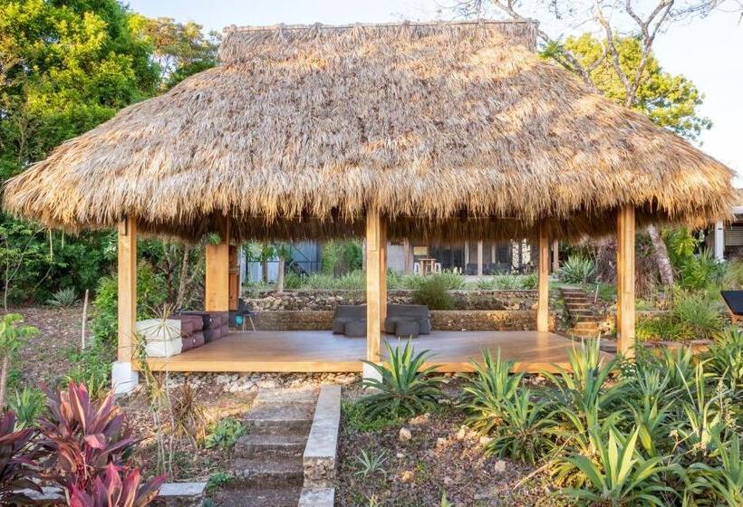 Thea Resort & Retreats   Santa Teresa