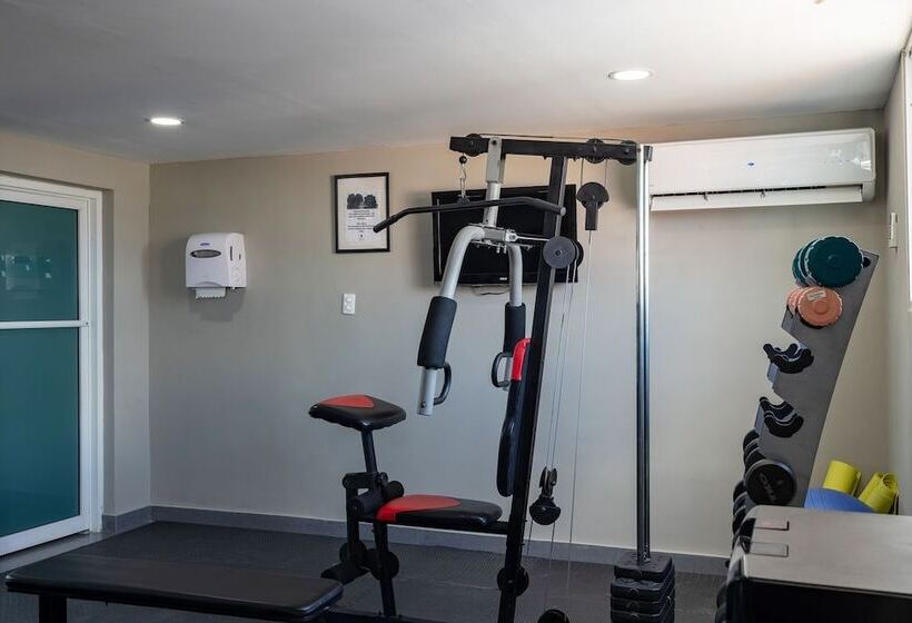 Fotos del hotel Aladino:  14