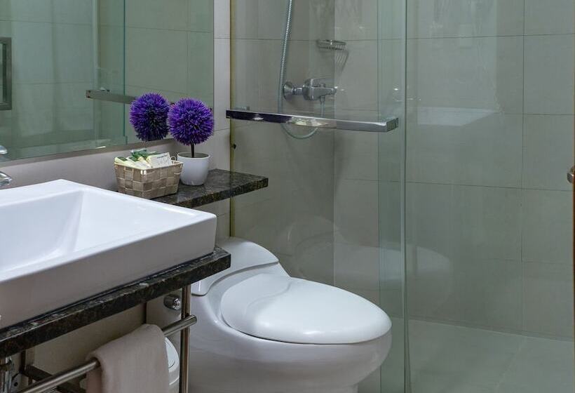 Fotos del hotel Aladino:  24