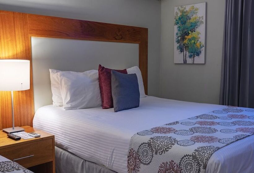 Fotos del hotel Aladino:  4