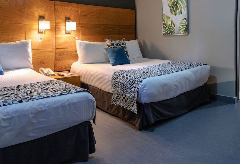 Fotos del hotel Aladino:  30