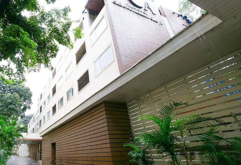 Fotos del hotel The Roa: 1 Fotos del hotel The Roa: 1