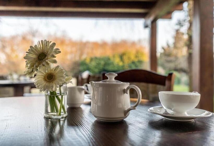 هاستل Accademia Vine Lodge
