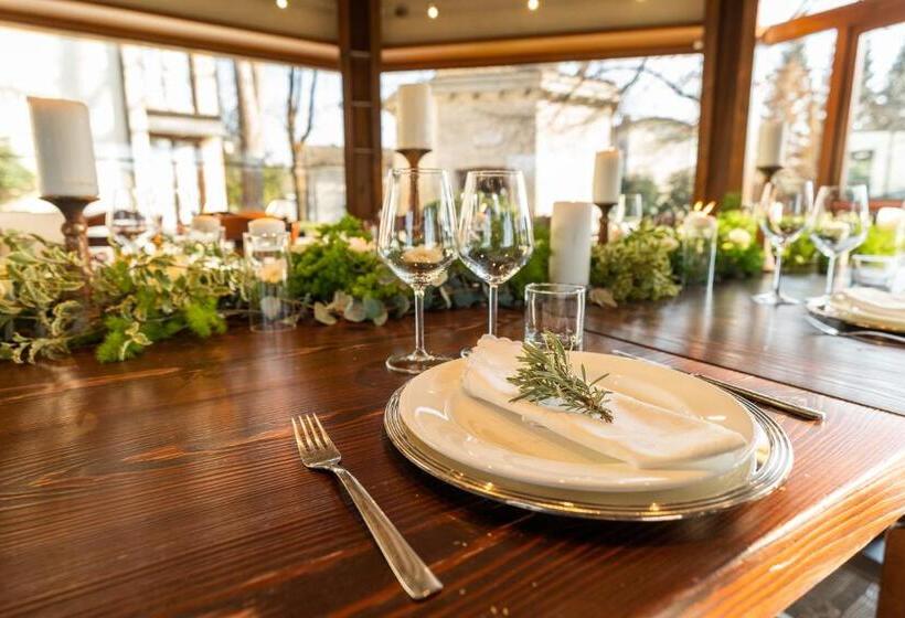 هاستل Accademia Vine Lodge