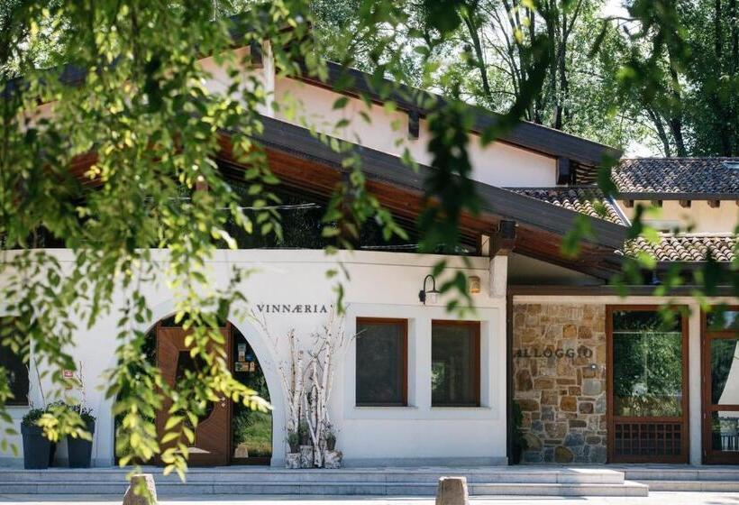 هاستل Accademia Vine Lodge