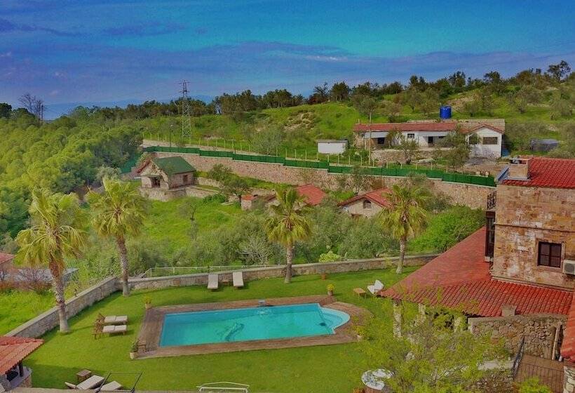 בית מלון כפרי The Mira House
