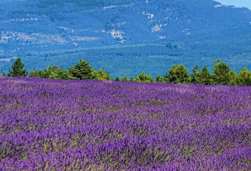 پانسیون Domaine Du Moulin De Villefranche