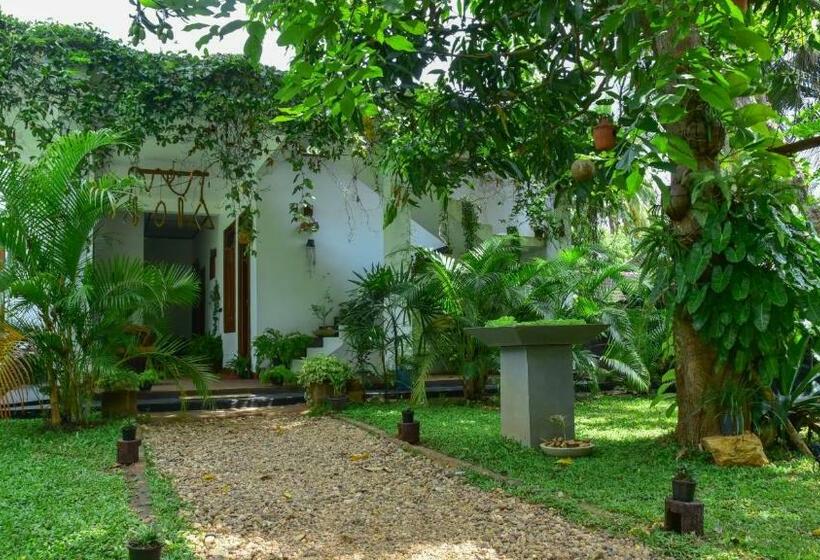 تختخواب و صبحانه Menara Green Inn