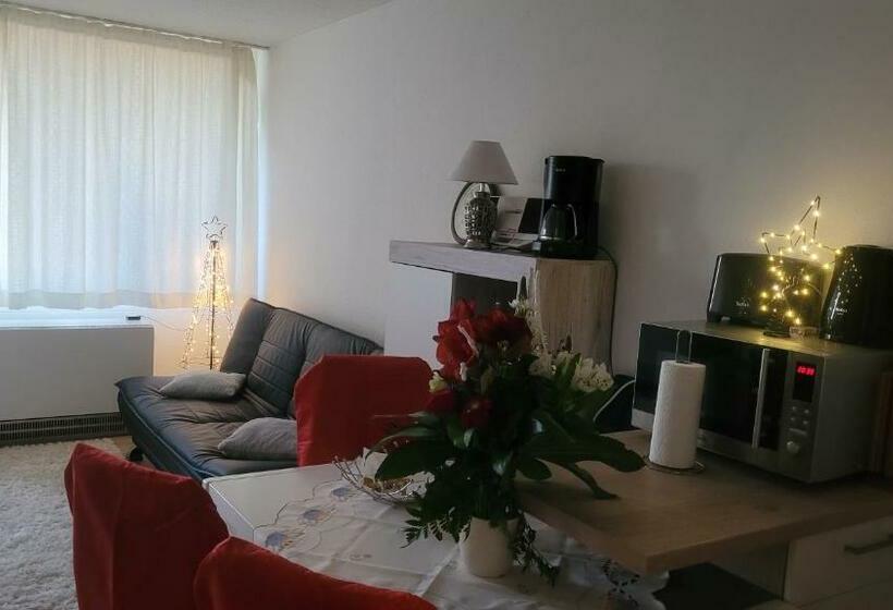 ホテル Ryan Apartament