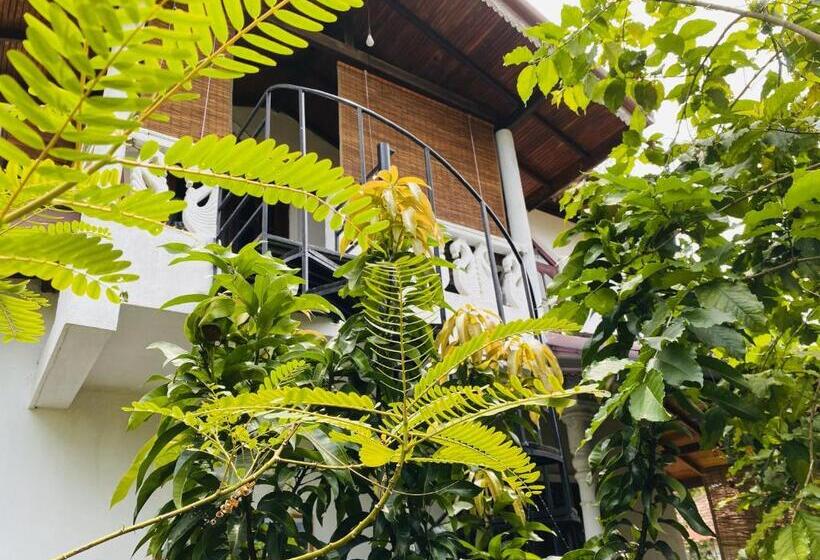 پانسیون Alson Villa