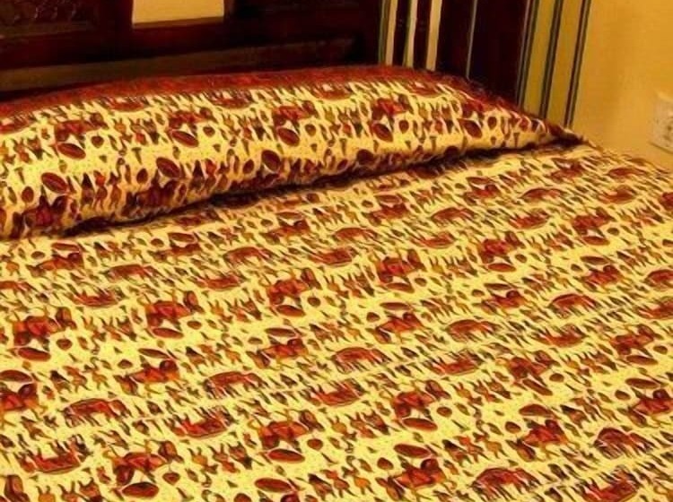 Fotos del hotel Baba Haveli:  13