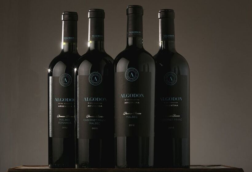 هتل Algodon Mansion