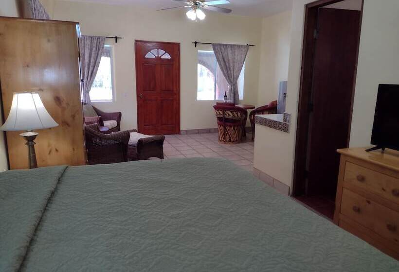 هتل Loreto Playa Boutique