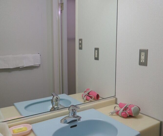 Fotos del hotel Naniwa Shimanouchi:  3