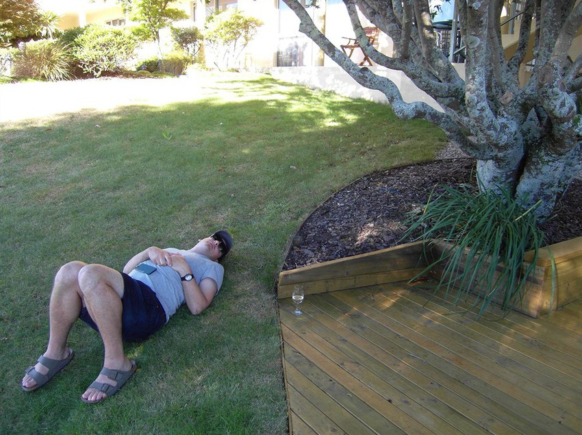 مُتل Abelia Motor Lodge