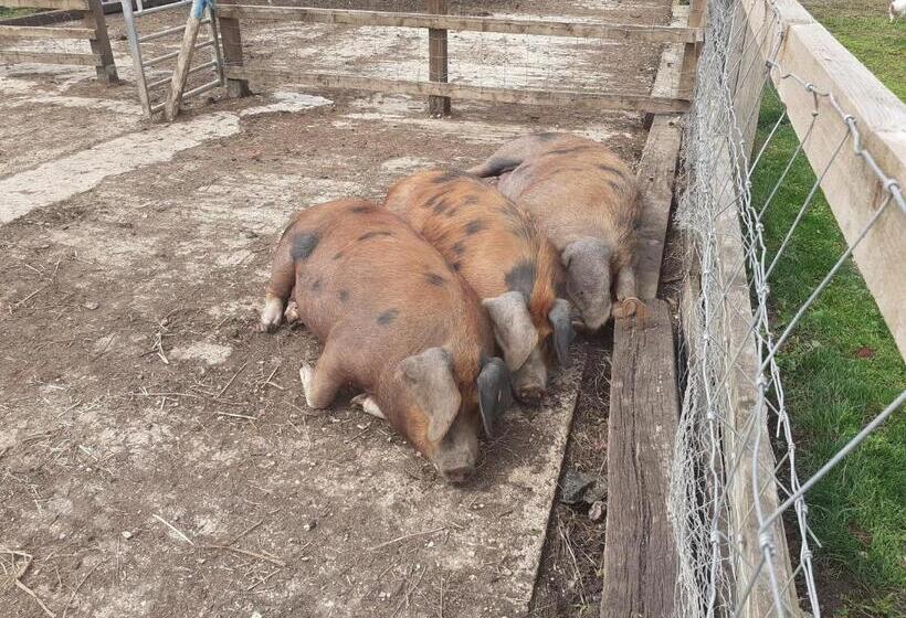 צימר The Byre North End Farm