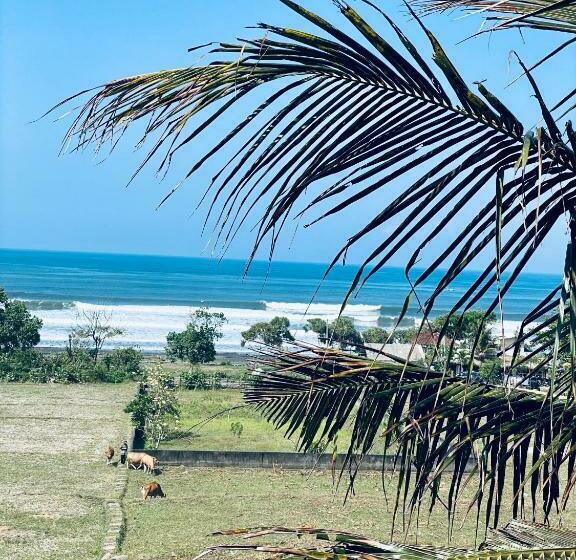 پانسیون Dikaloha Surfschool And Stay