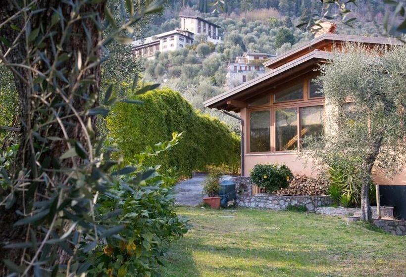 تختخواب و صبحانه Guesthouse Villa Tamas