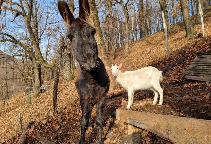 住宿加早餐  Iduevagamondi   Ospitalità Rurale Famigliare Di Montagna