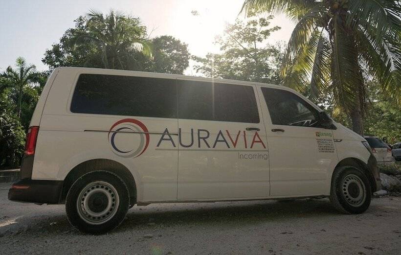 Fotos del hotel Mx Tulum:  27