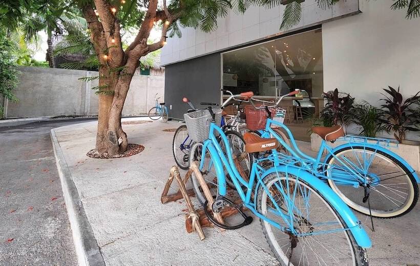 Fotos del hotel Mx Tulum:  29
