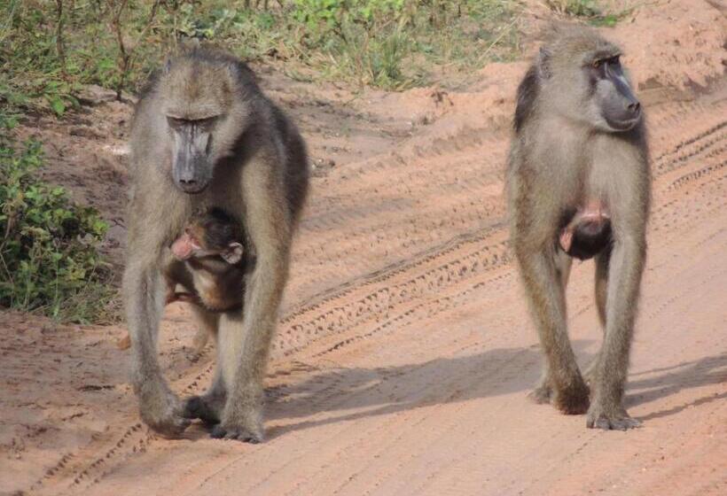 هتل Ngangane Lodge & Reserve