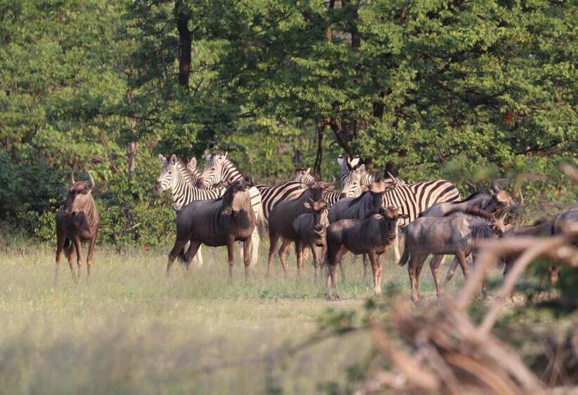 هتل Ngangane Lodge & Reserve