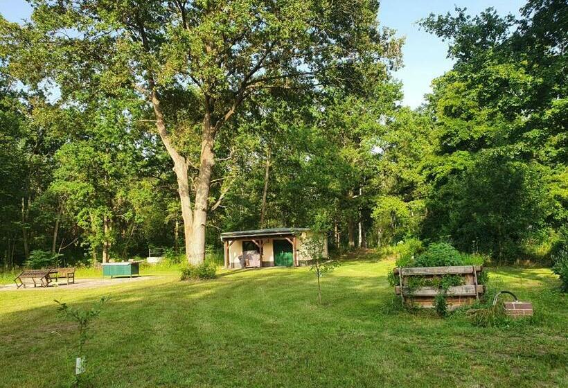 פנסיון Gasthaus Bukoitza