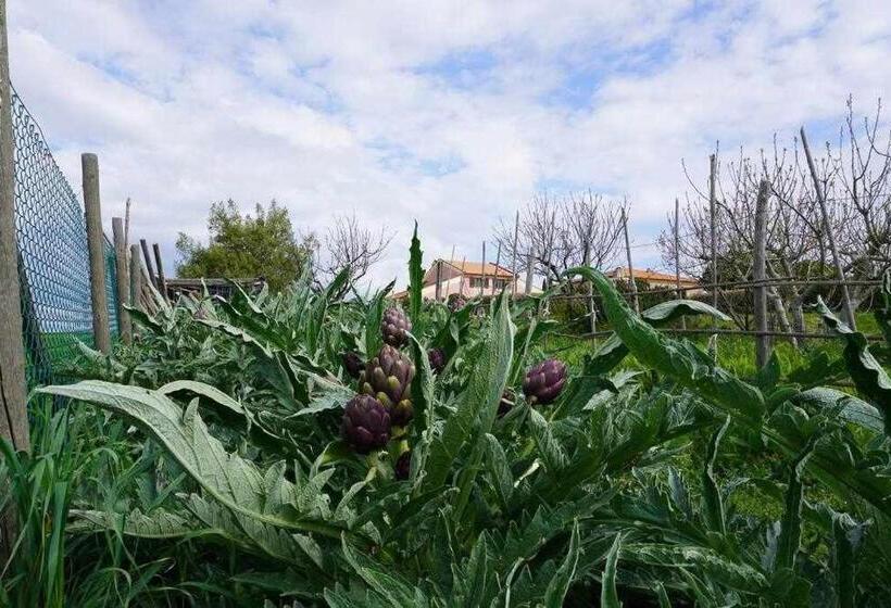 هتل Agriturismo Podere Santa Virginia
