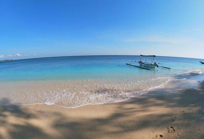 هتل La Siesta Bungalows Only Adults
