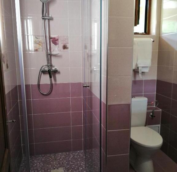 Pensiunea Plai Strabun