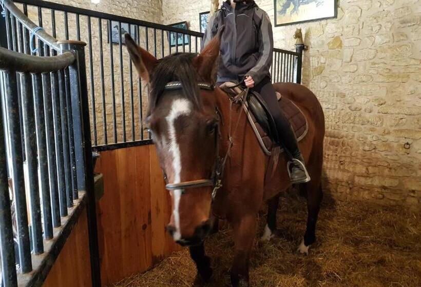 צימר Chenonceau Amboise équitation Beauval