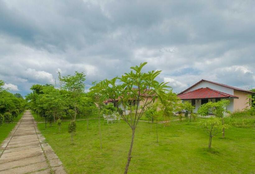ベッドアンドブレックファースト Tuli Veer Bagh Resort Turia