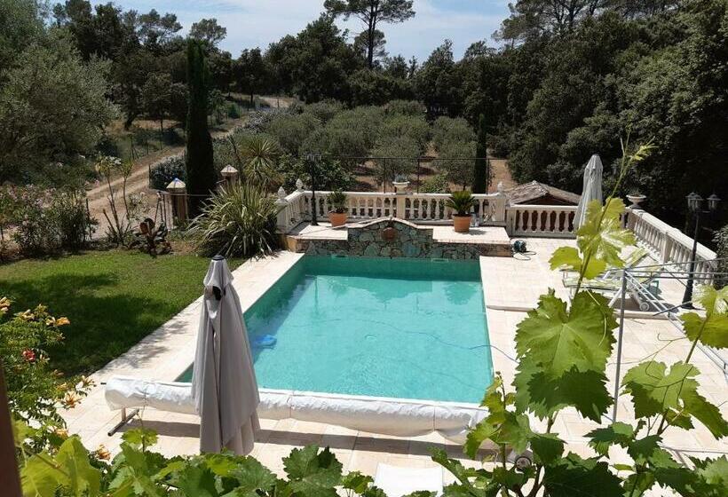 تختخواب و صبحانه Villa Xanadu