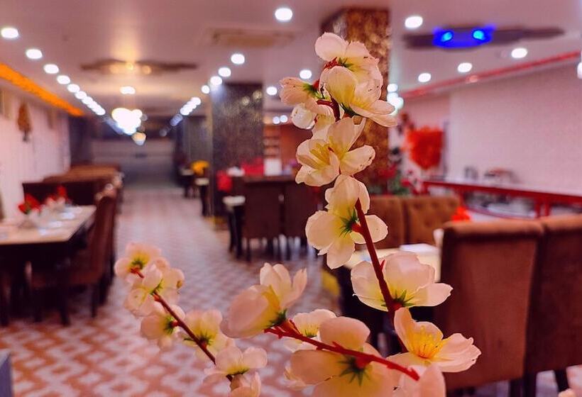 Aradhna Inn By Shrigo Hotels