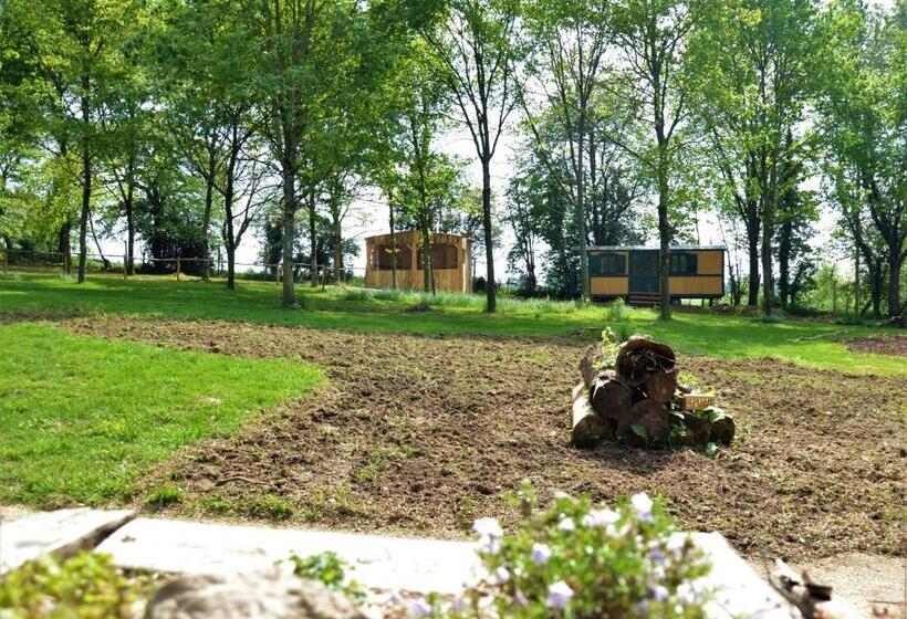 ベッドアンドブレックファースト Le Camp Du Fauconnier
