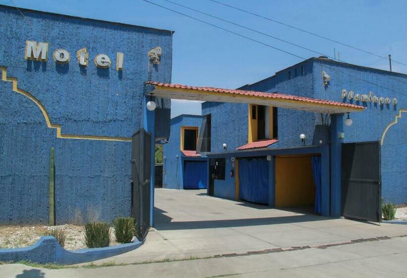 Motel Flamingos