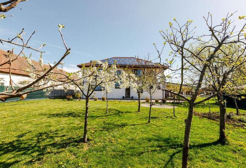 پانسیون Gasthaus Sacalaz