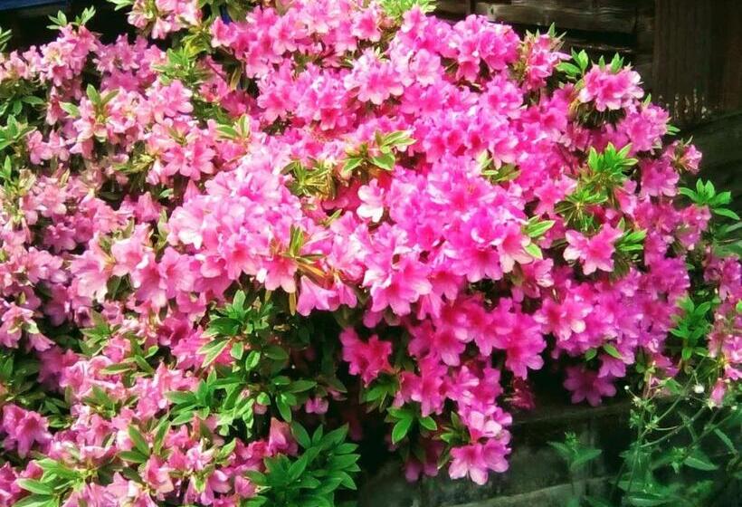 بنسيون Gegege No Guesthouse   Vacation Stay 9460