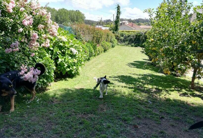 Bed and Breakfast Habitacion En Casa De Marisa Y Juan