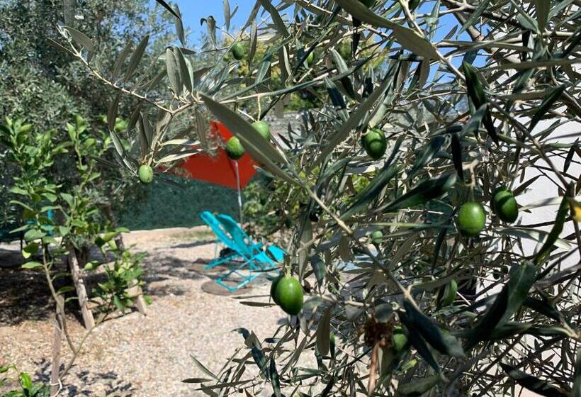 تختخواب و صبحانه L’olivier De Manel