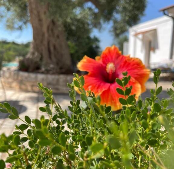 هتل Masseria I Raffi B&b