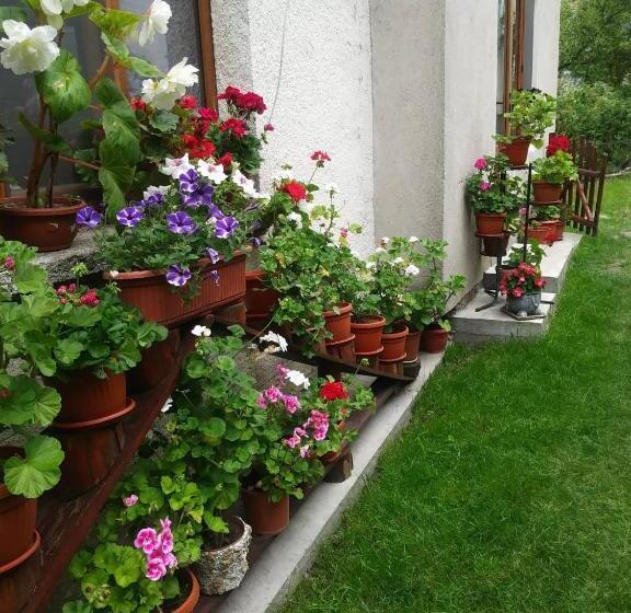 بنسيون Guest House Emmy