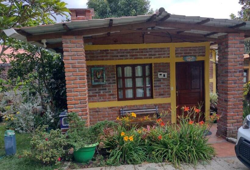 هاستل Hostal Cabañas Ave Maria