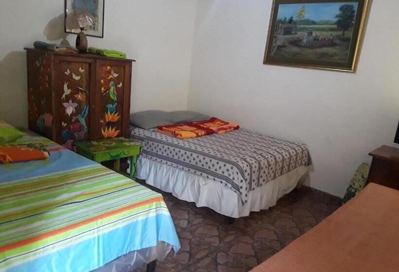 هاستل Hostal Cabañas Ave Maria