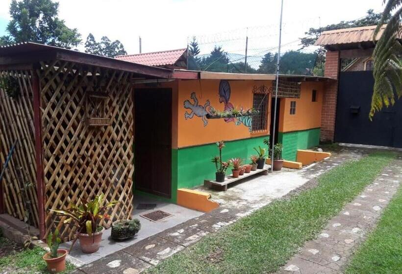 هاستل Hostal Cabañas Ave Maria
