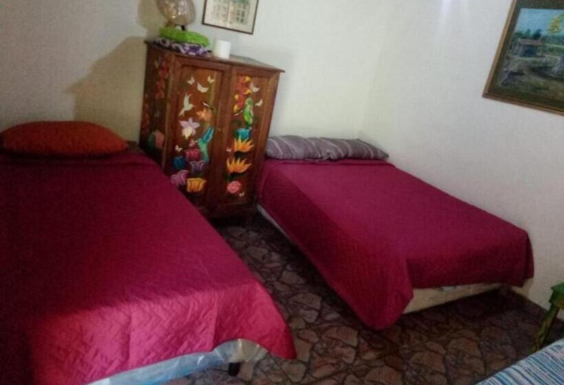 هاستل Hostal Cabañas Ave Maria