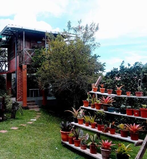 هاستل Hostal Cabañas Ave Maria