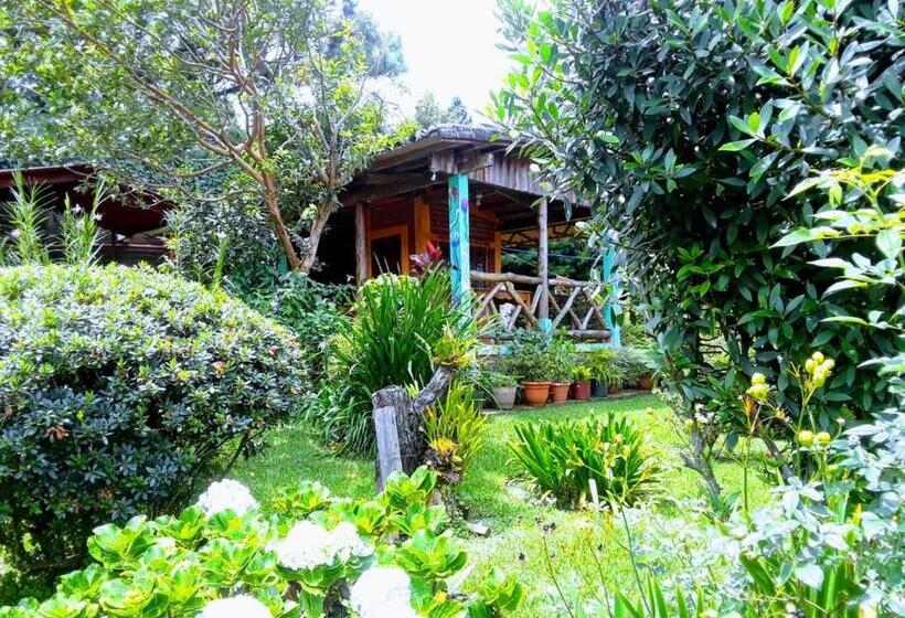 هاستل Hostal Cabañas Ave Maria